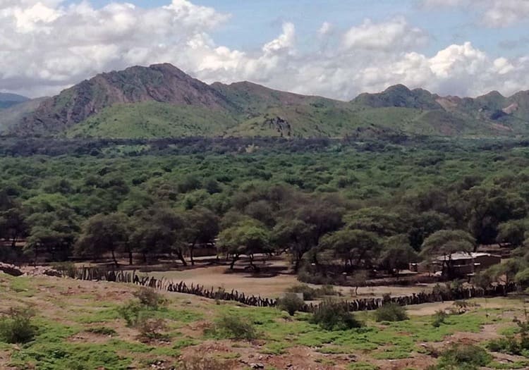 Lambayeque - Santuario histórico del bosque de Pomác